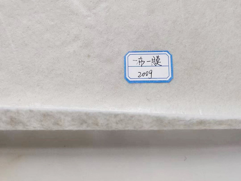 復(fù)合土工膜